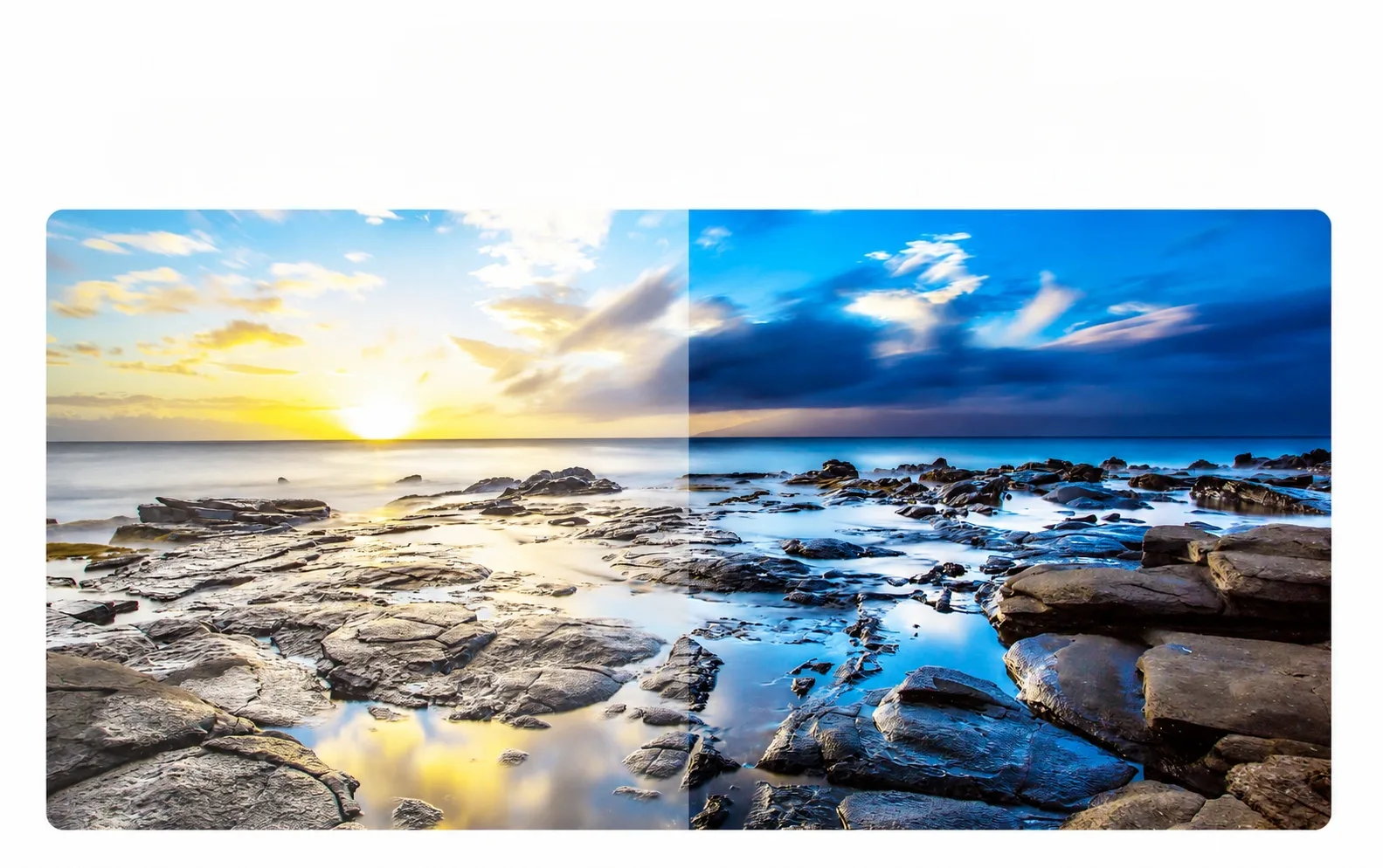 High Contrast and Vivid Color Performance