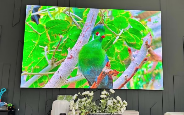 Fine Pitch LED Display