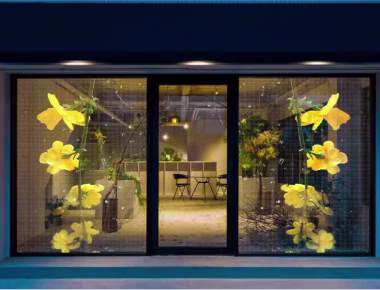 Holographic Transparent LED Display