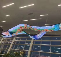 P2 Flexible Ribbon LED Display